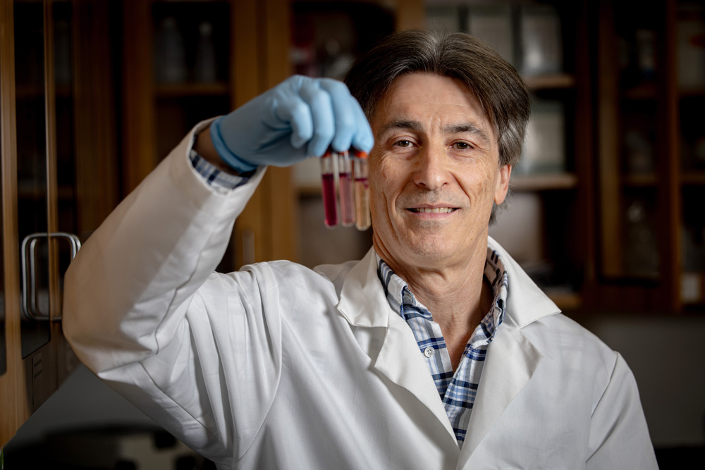 Dr. Randolph Looking at Sickle Confirm Tubes